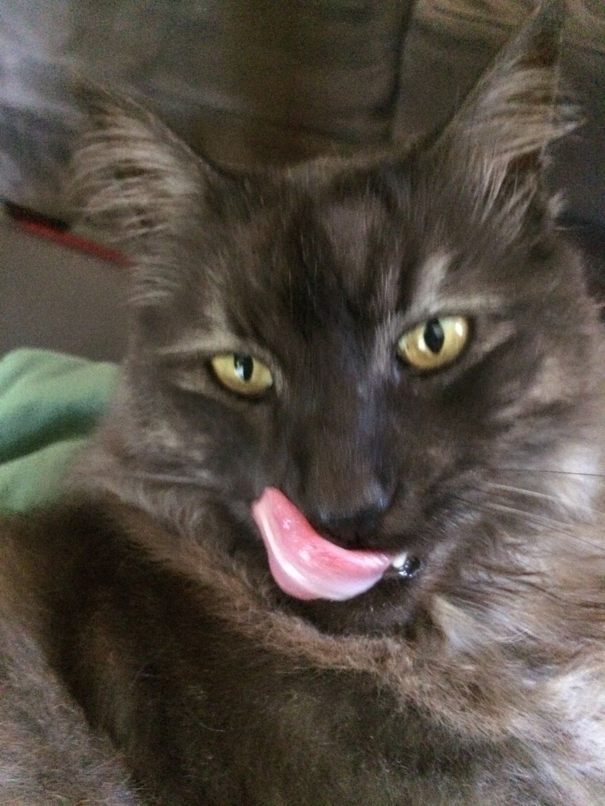 Henry